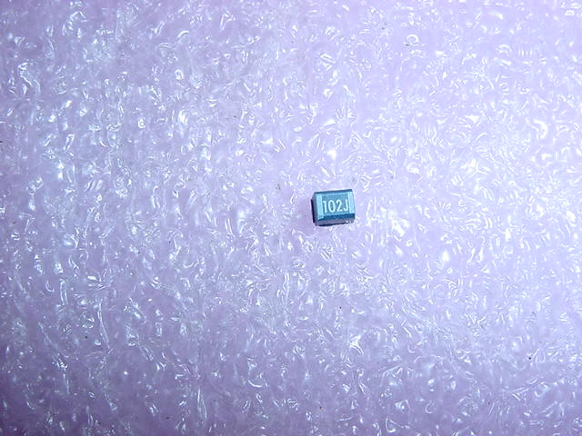 DSC03529